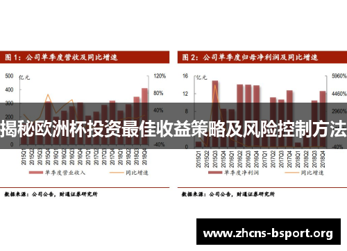 揭秘欧洲杯投资最佳收益策略及风险控制方法