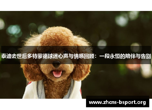 泰迪去世后多特蒙德球迷心声与情感回顾：一段永恒的陪伴与告别
