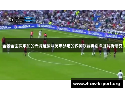 全景全面探索加的夫城足球队历年参与的多种联赛类别深度解析研究