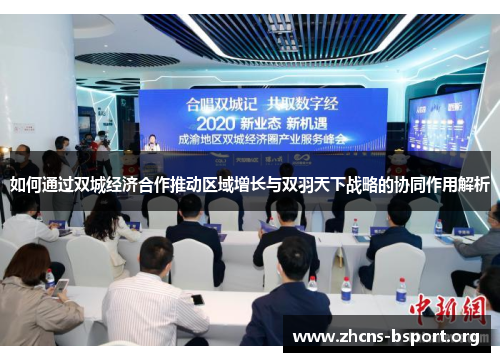 如何通过双城经济合作推动区域增长与双羽天下战略的协同作用解析